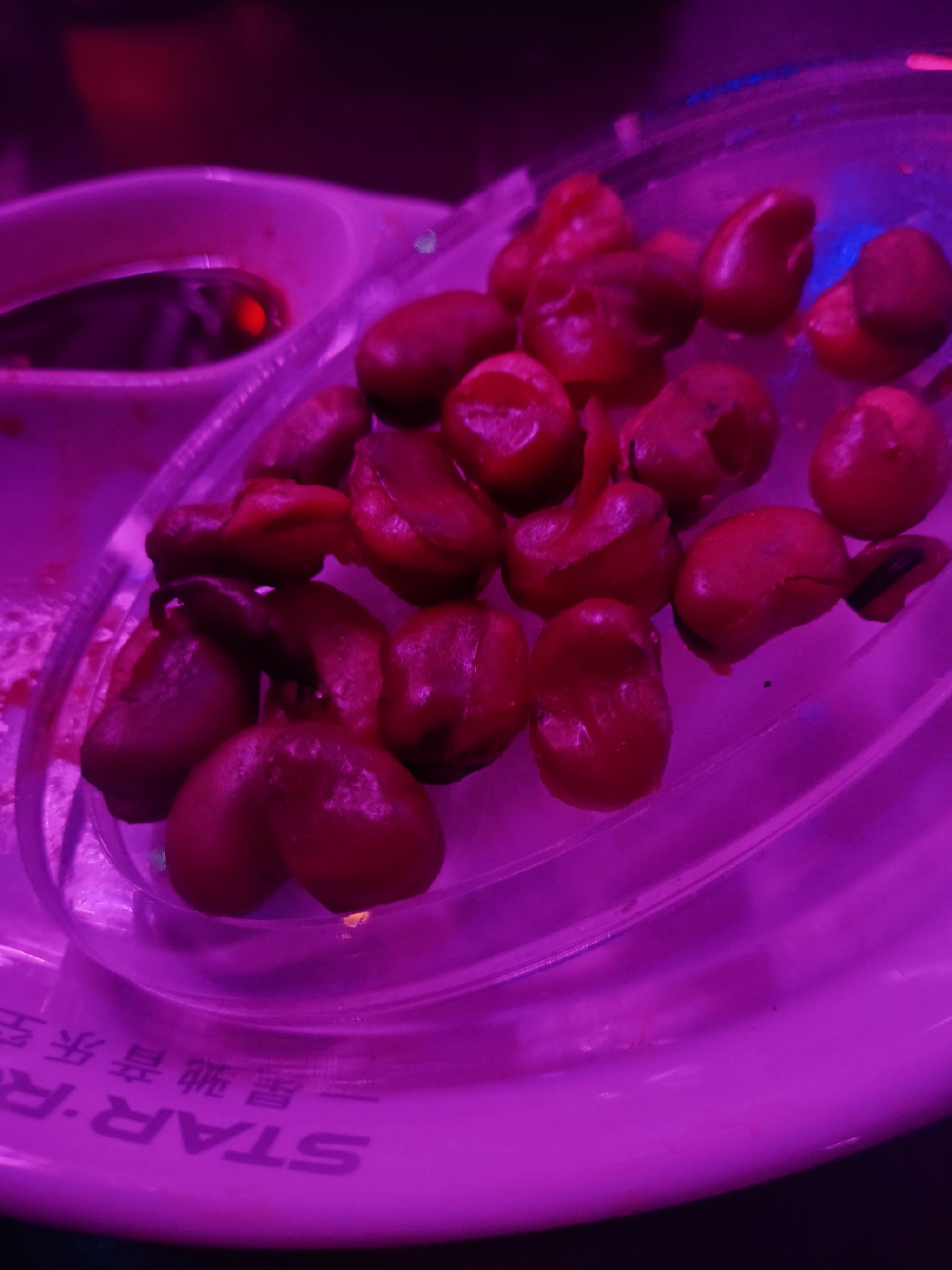 通化商务ktv全新商务ktv玩法揭秘-二道江区ktv预订